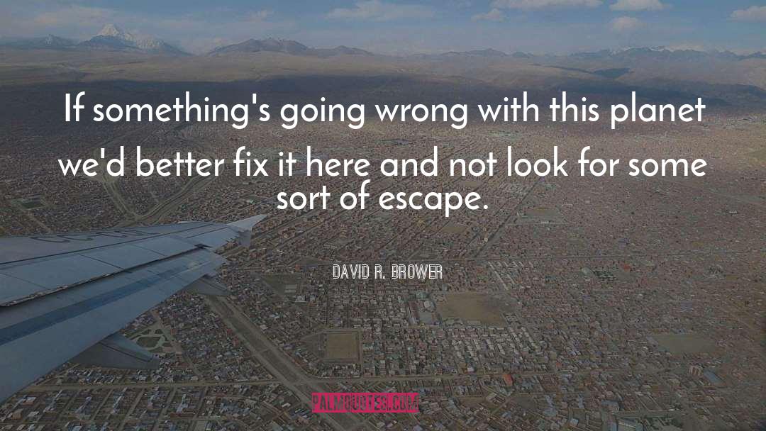 David R. Brower Quotes: If something's going wrong with