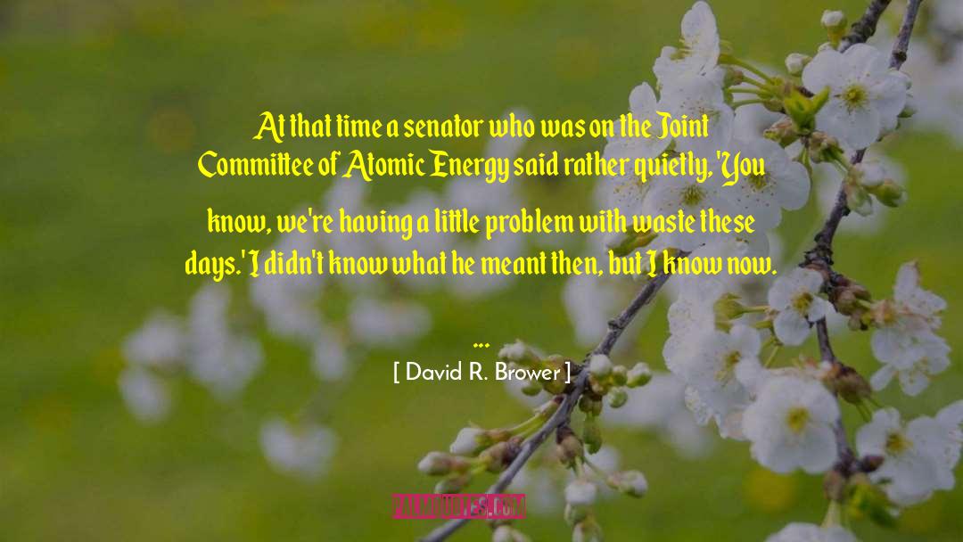 David R. Brower Quotes: At that time a senator