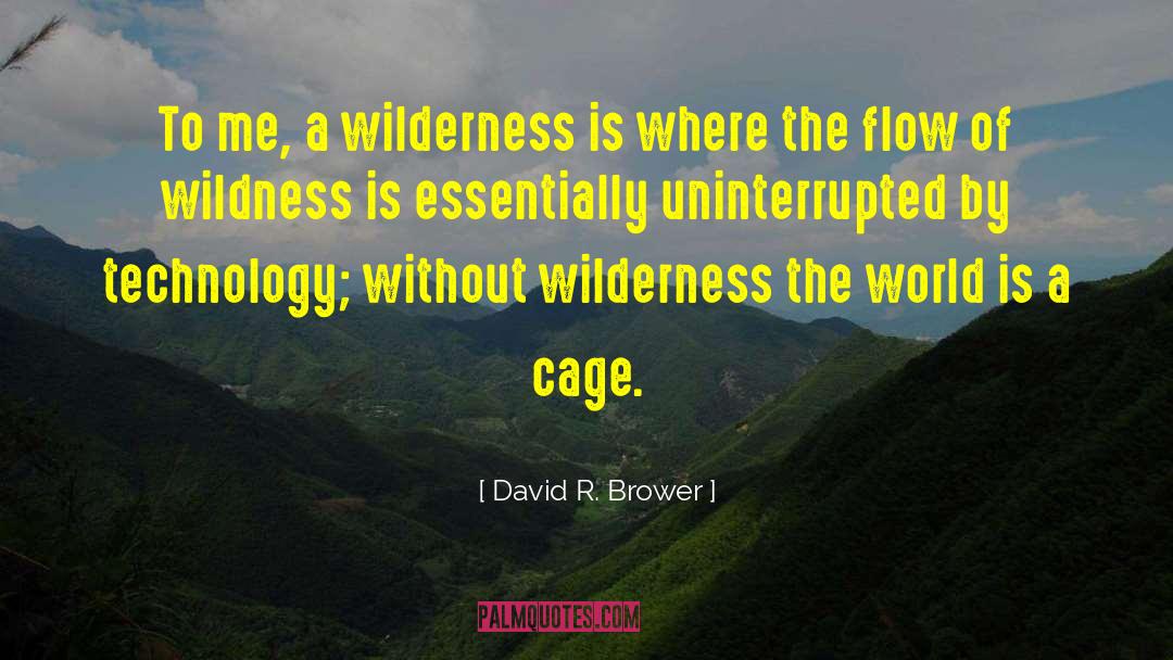 David R. Brower Quotes: To me, a wilderness is