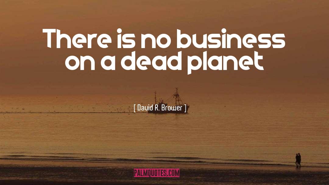 David R. Brower Quotes: There is no business on