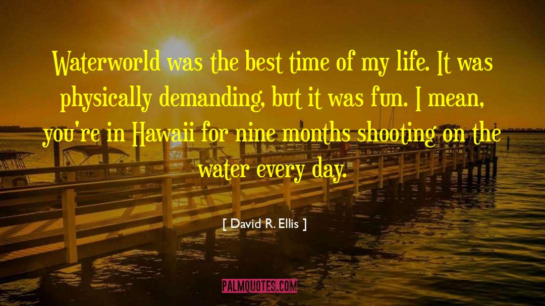 David R. Ellis Quotes: Waterworld was the best time