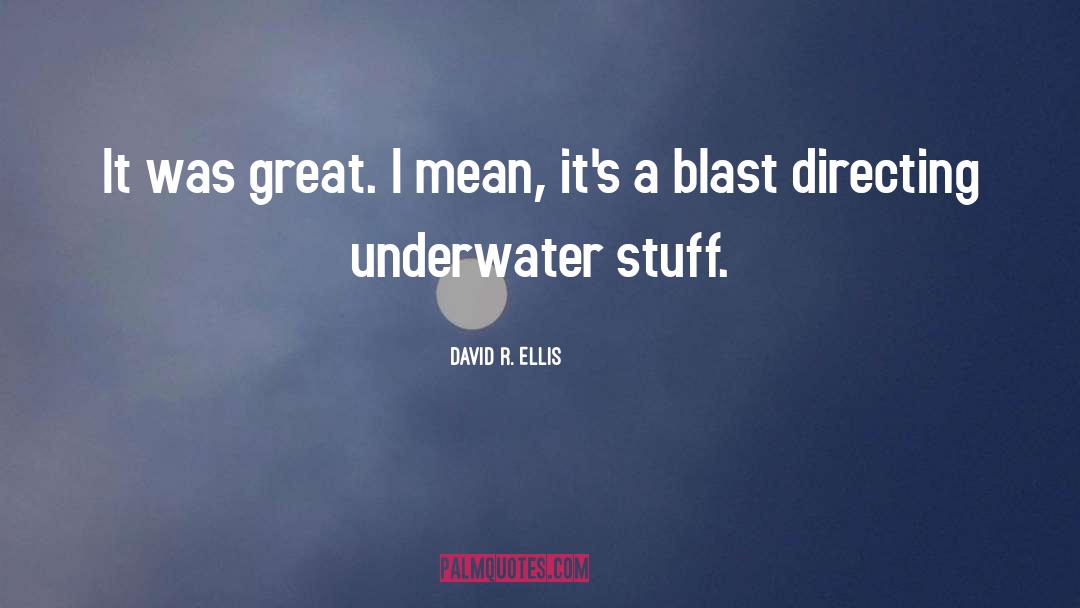 David R. Ellis Quotes: It was great. I mean,