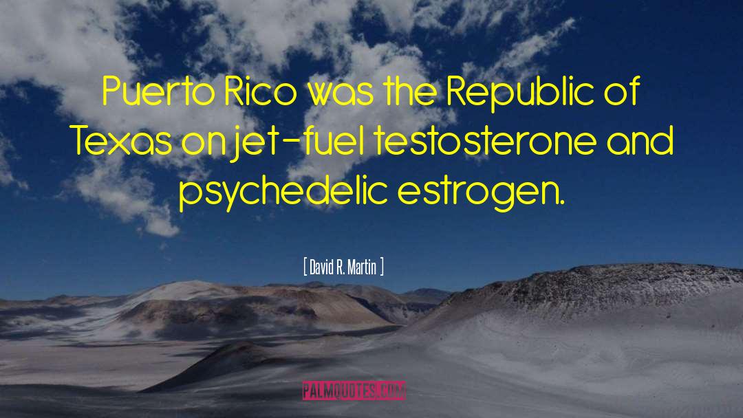 David R. Martin Quotes: Puerto Rico was the Republic