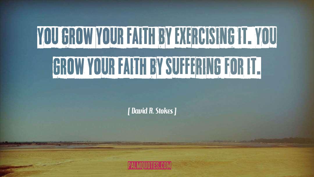 David R. Stokes Quotes: You grow your faith by