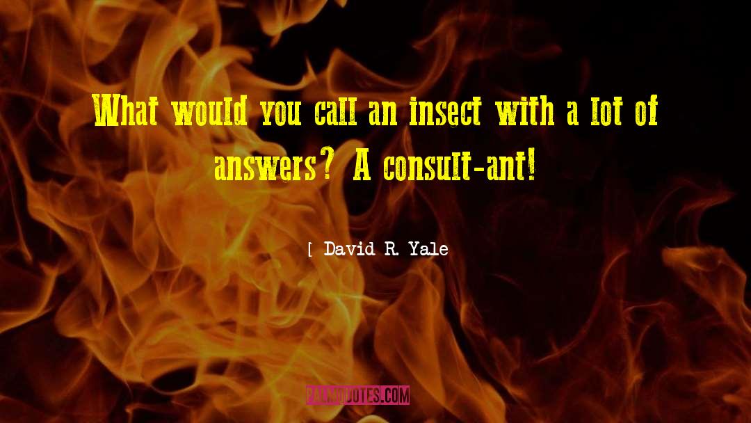 David R. Yale Quotes: What would you call an