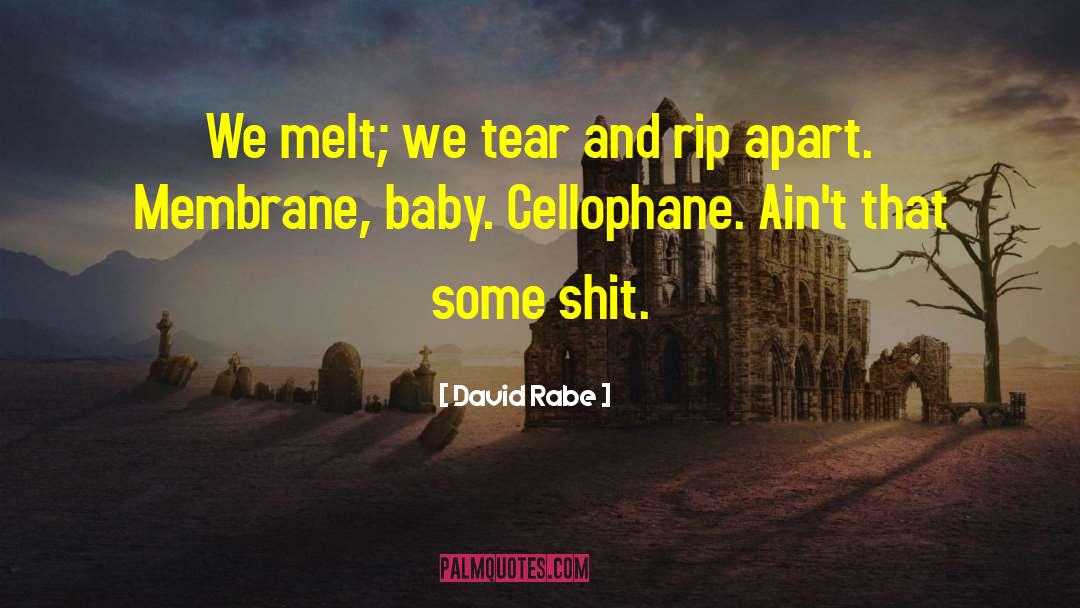 David Rabe Quotes: We melt; we tear and