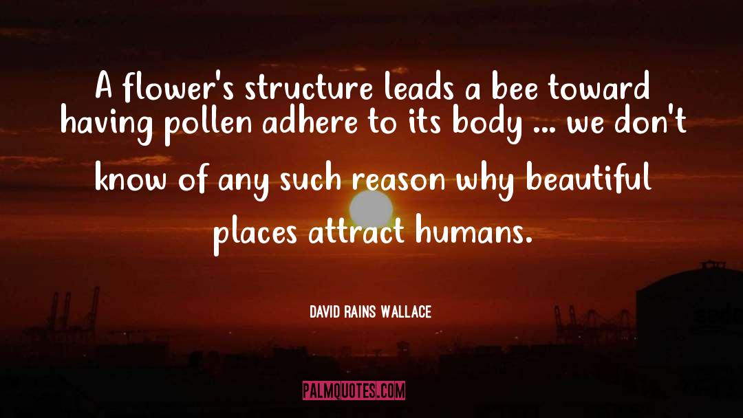 David Rains Wallace Quotes: A flower's structure leads a