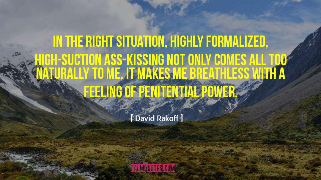 David Rakoff Quotes: In the right situation, highly