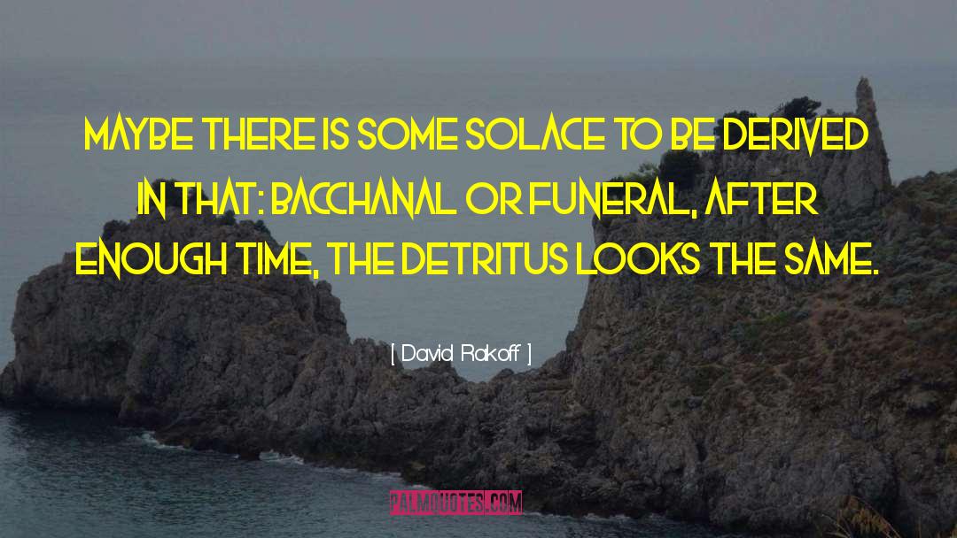 David Rakoff Quotes: Maybe there is some solace