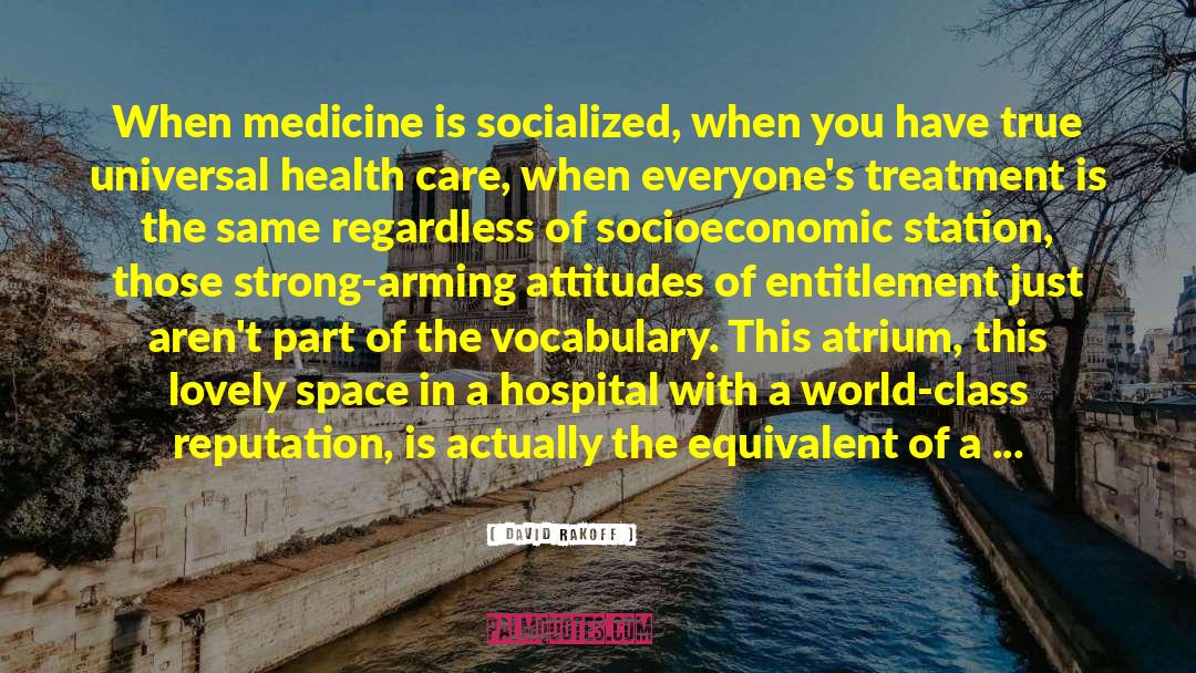David Rakoff Quotes: When medicine is socialized, when