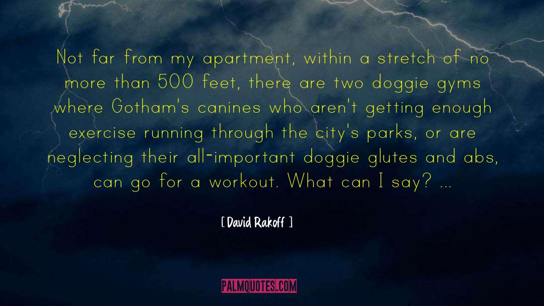 David Rakoff Quotes: Not far from my apartment,