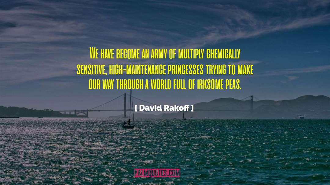 David Rakoff Quotes: We have become an army