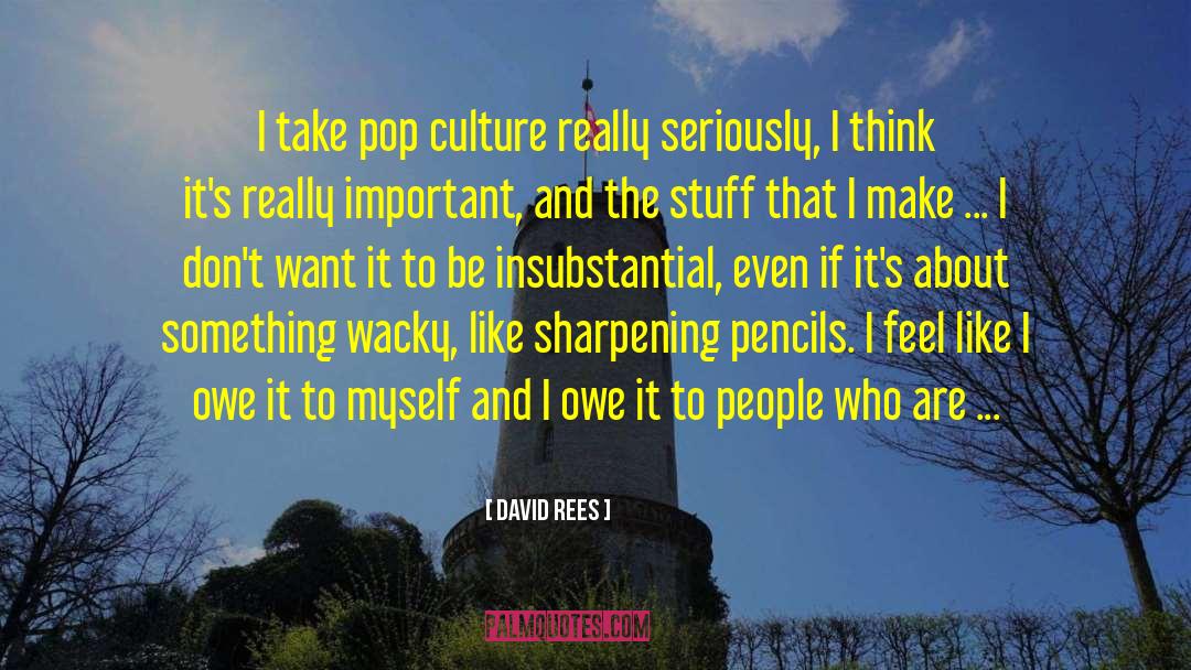 David Rees Quotes: I take pop culture really