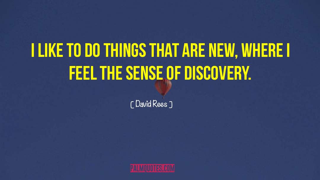 David Rees Quotes: I like to do things