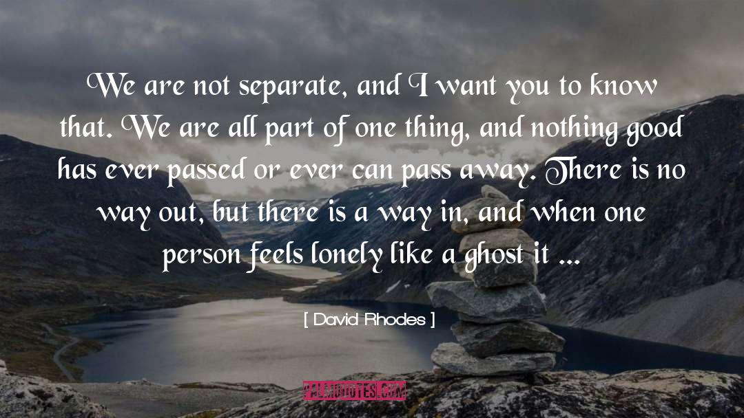 David Rhodes Quotes: We are not separate, and