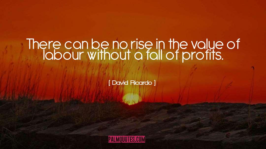 David Ricardo Quotes: There can be no rise
