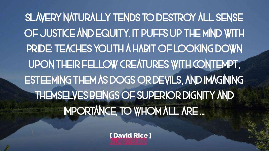 David Rice Quotes: Slavery naturally tends to destroy