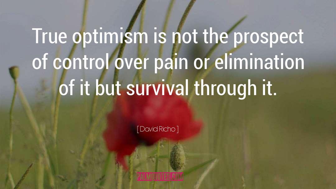 David Richo Quotes: True optimism is not the