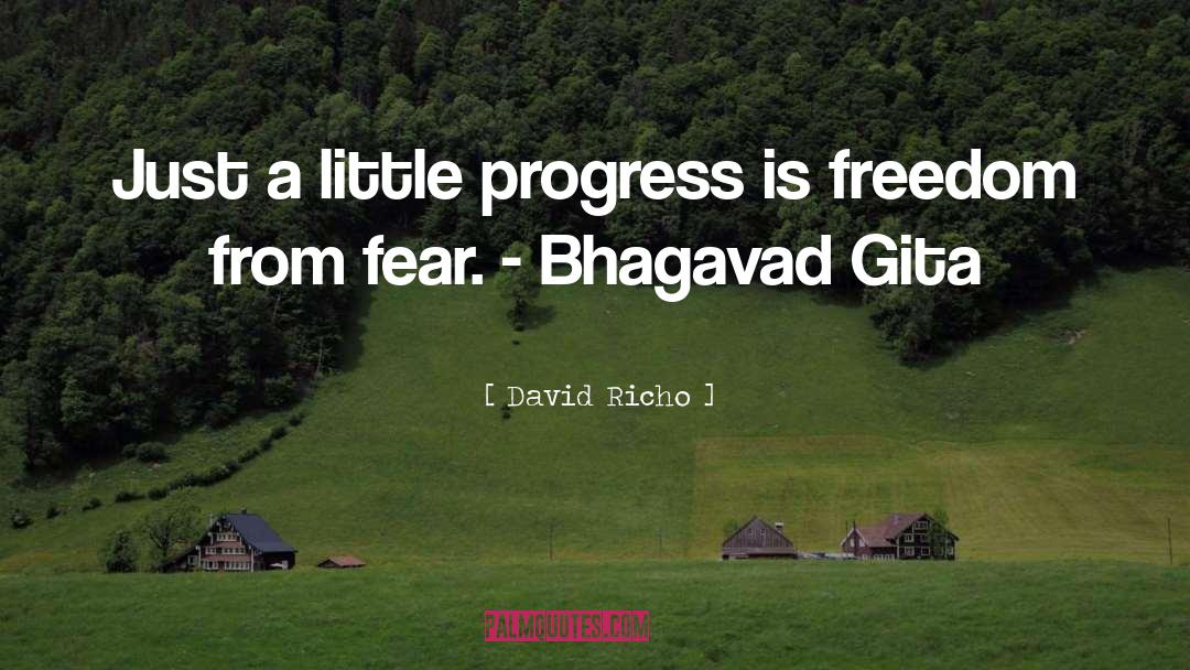 David Richo Quotes: Just a little progress is