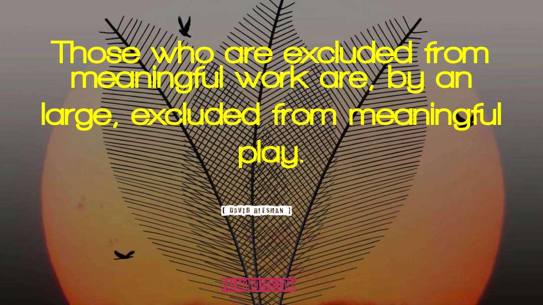 David Riesman Quotes: Those who are excluded from