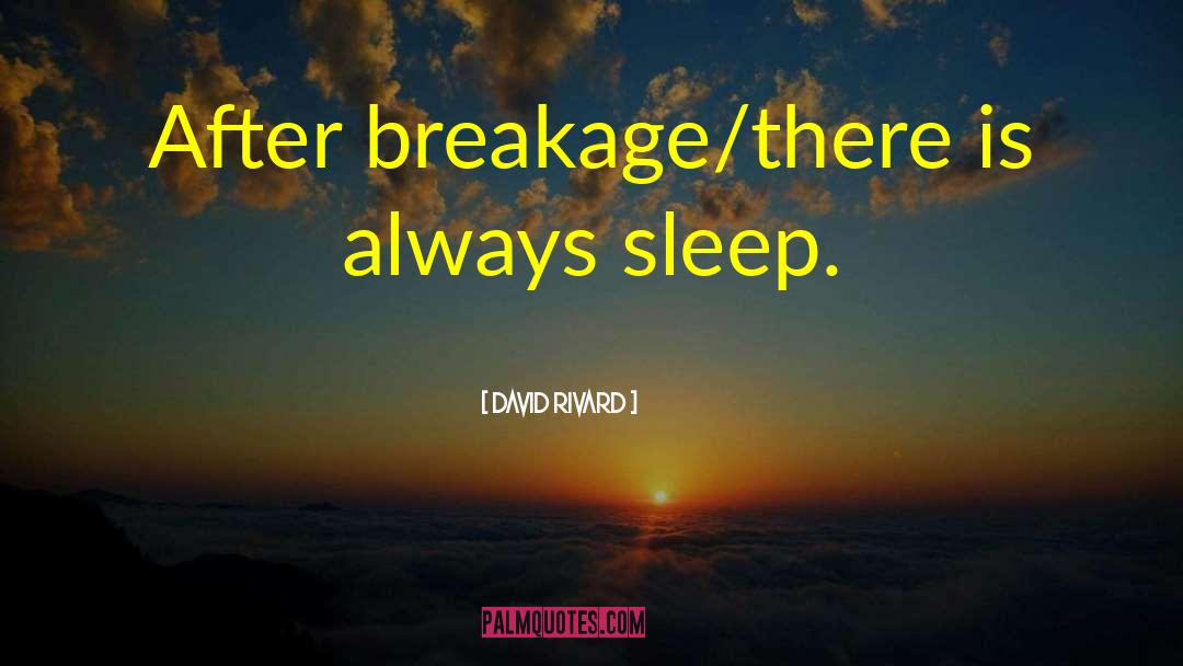 David Rivard Quotes: After breakage/there is always sleep.