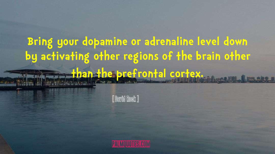 David Rock Quotes: Bring your dopamine or adrenaline