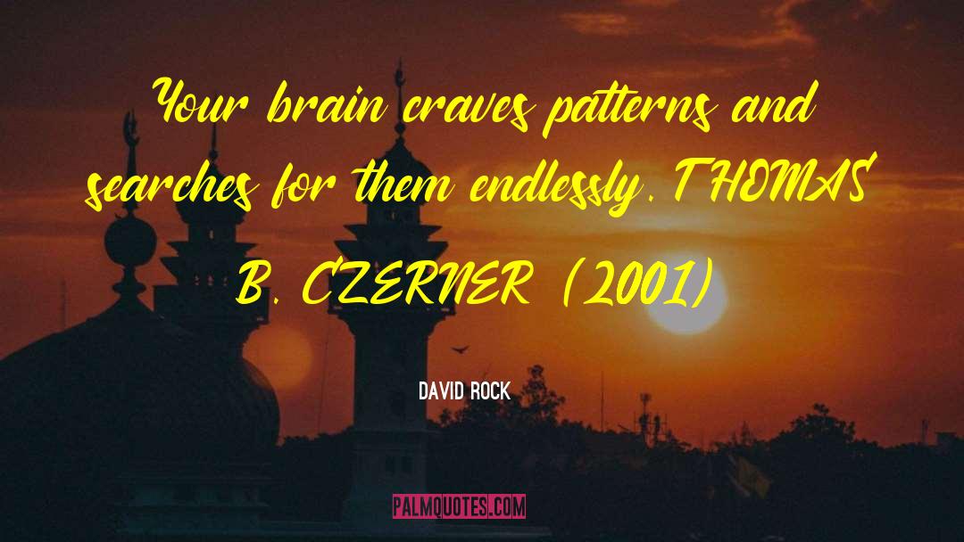 David Rock Quotes: Your brain craves patterns and