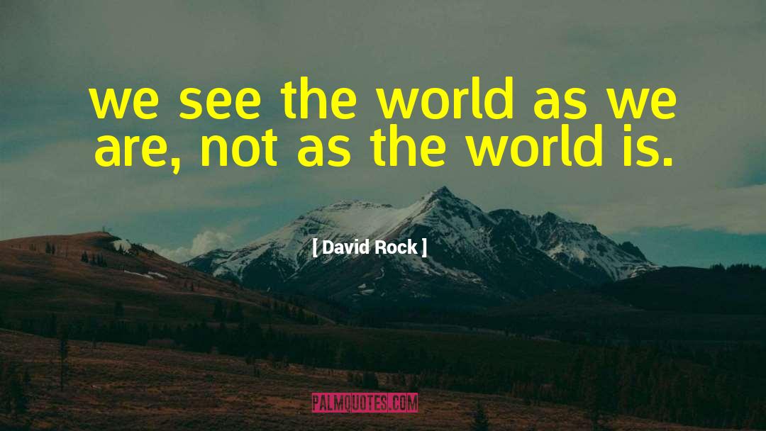 David Rock Quotes: we see the world as