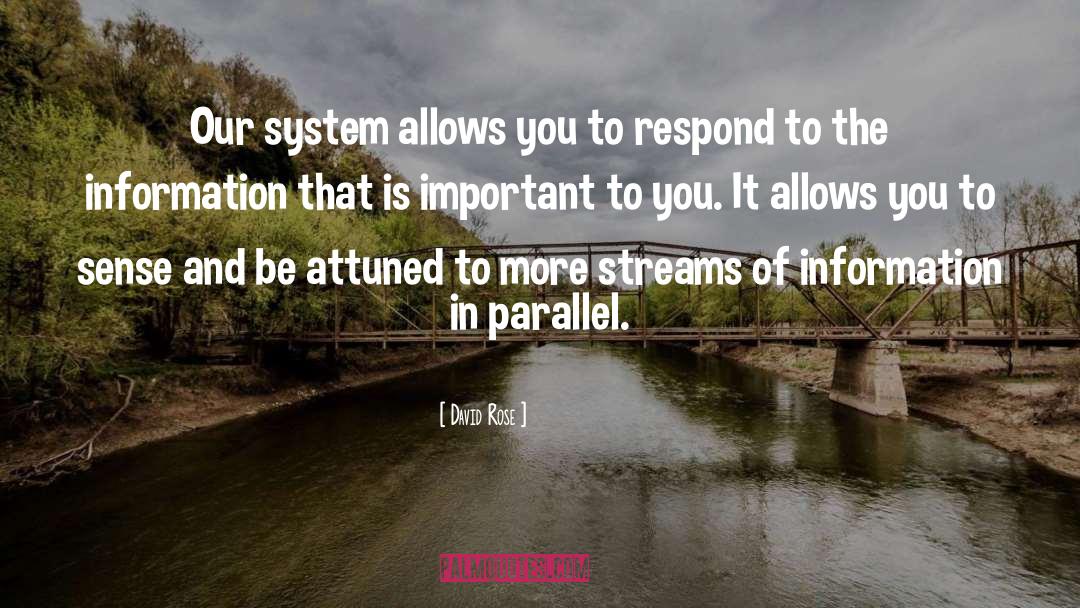 David Rose Quotes: Our system allows you to