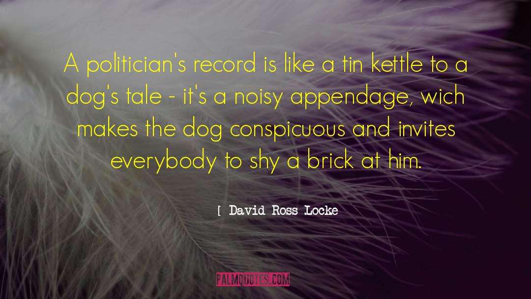 David Ross Locke Quotes: A politician's record is like