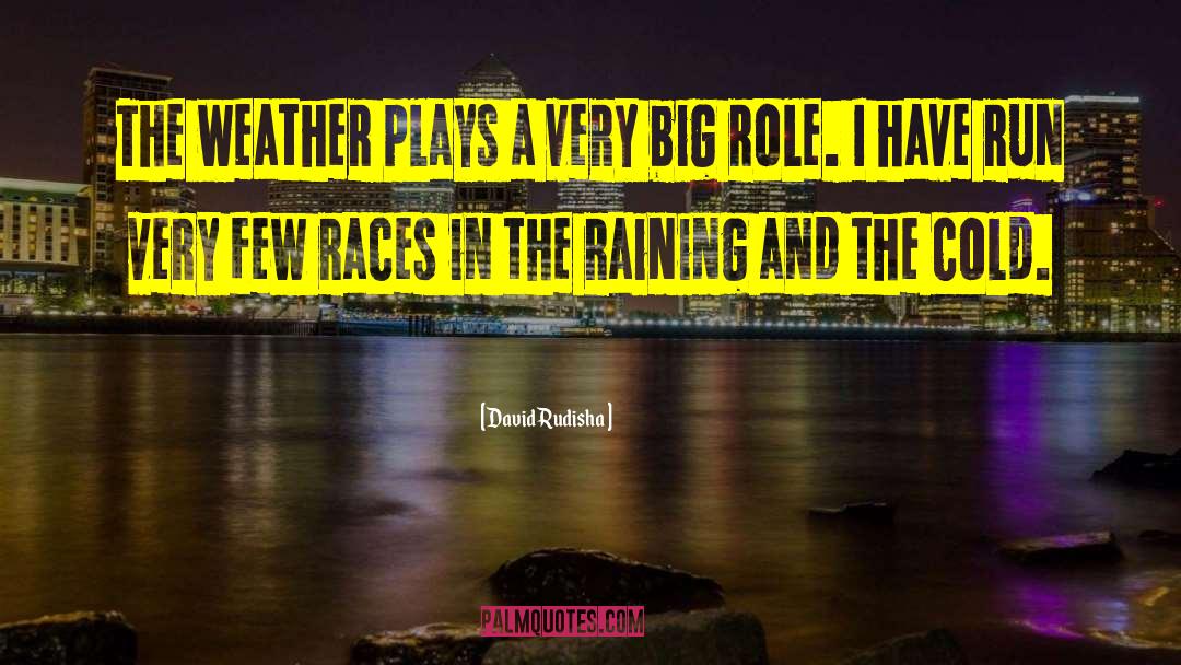 David Rudisha Quotes: The weather plays a very