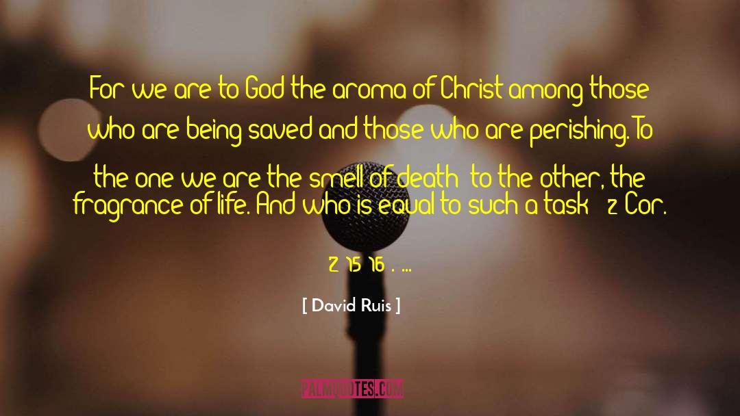 David Ruis Quotes: For we are to God