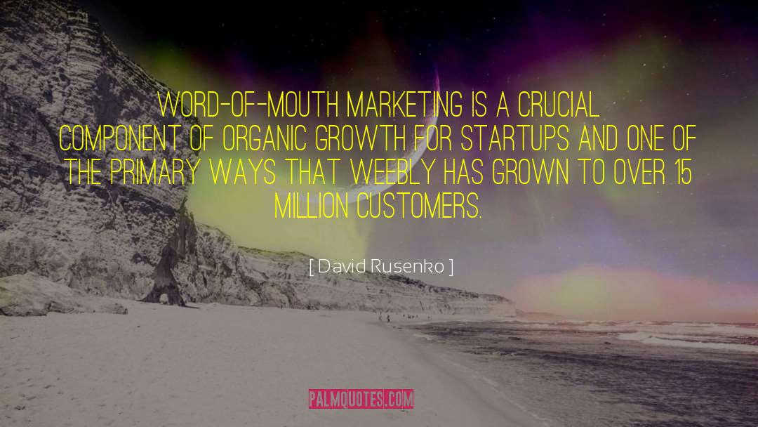 David Rusenko Quotes: Word-of-mouth marketing is a crucial