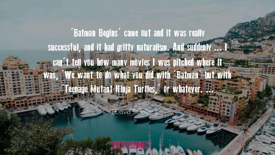 David S.Goyer Quotes: 'Batman Begins' came out and