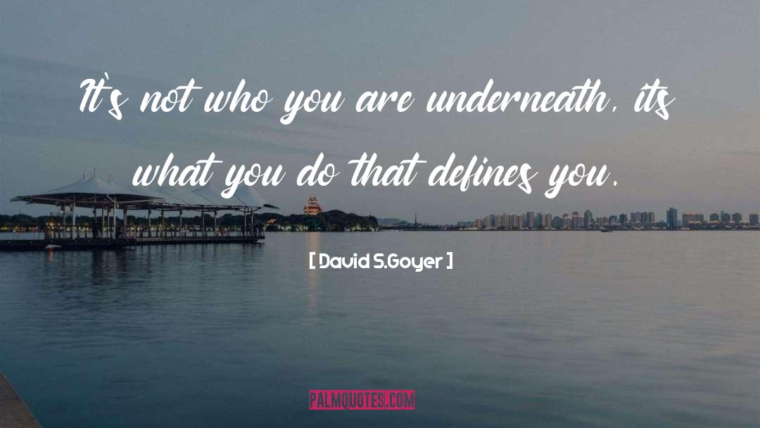 David S.Goyer Quotes: It's not who you are