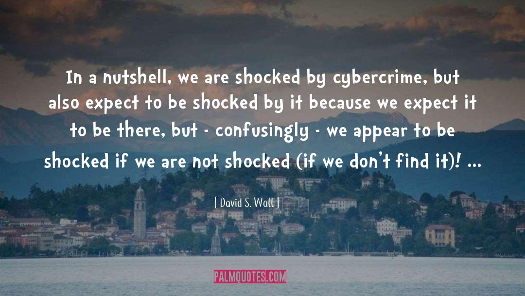 David S. Wall Quotes: In a nutshell, we are