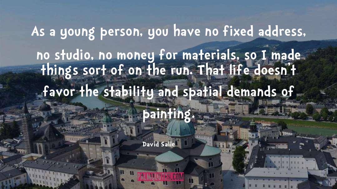 David Salle Quotes: As a young person, you
