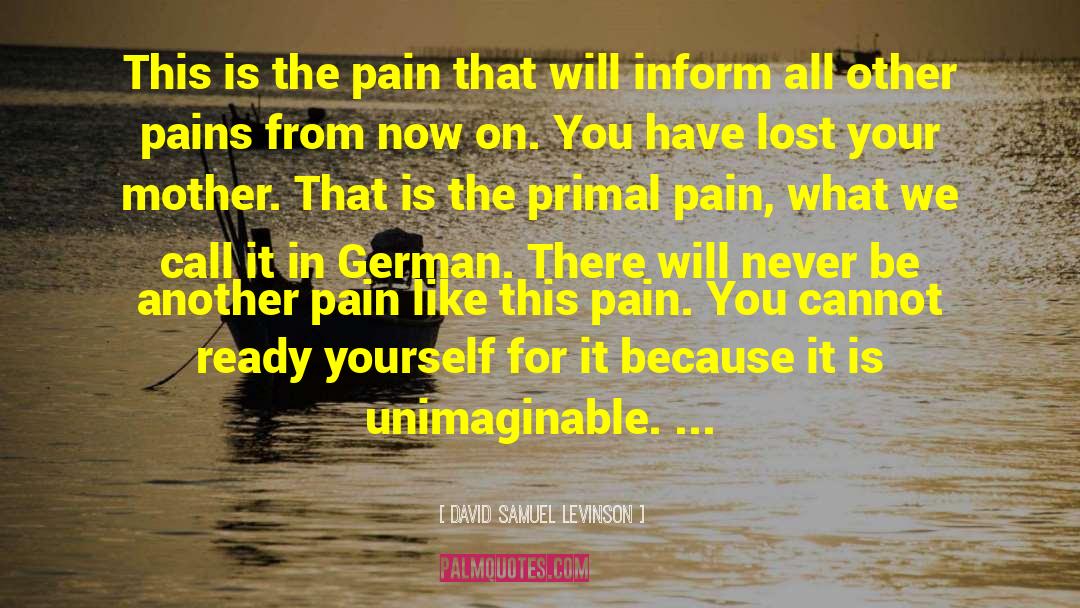 David Samuel Levinson Quotes: This is the pain that