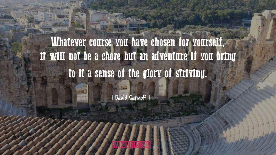 David Sarnoff Quotes: Whatever course you have chosen