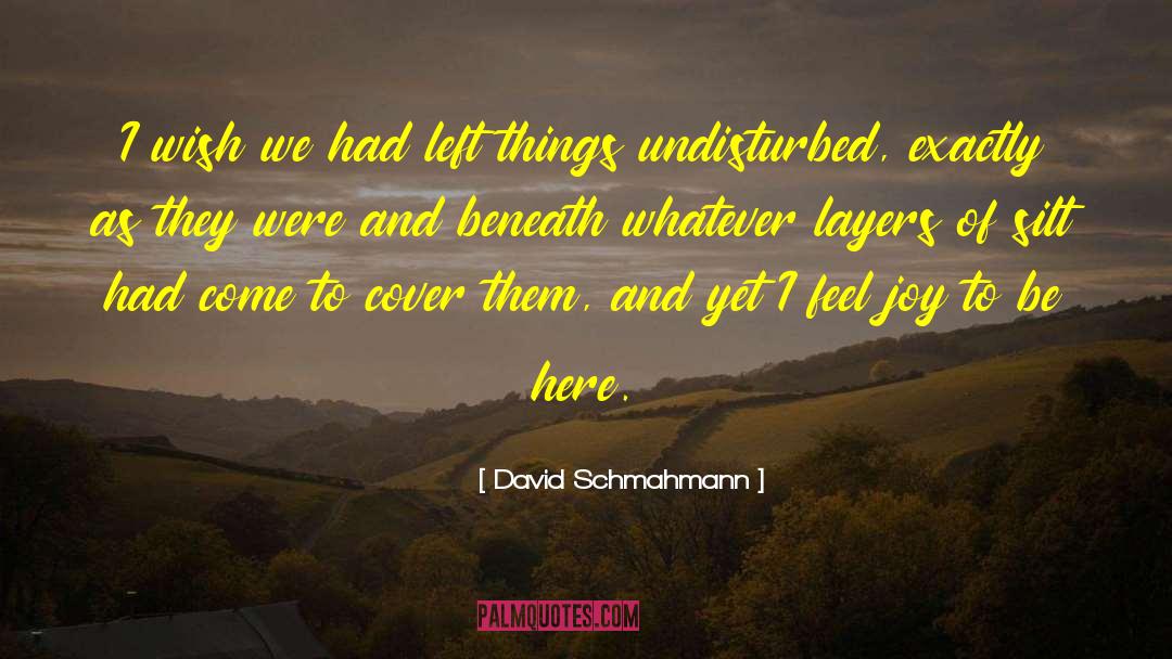 David Schmahmann Quotes: I wish we had left