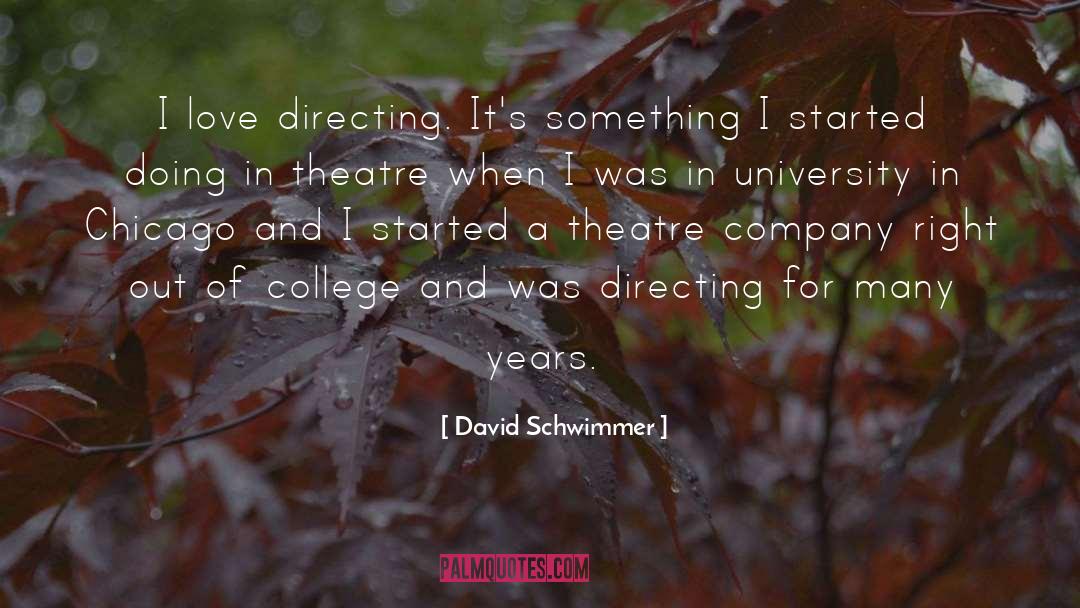 David Schwimmer Quotes: I love directing. It's something