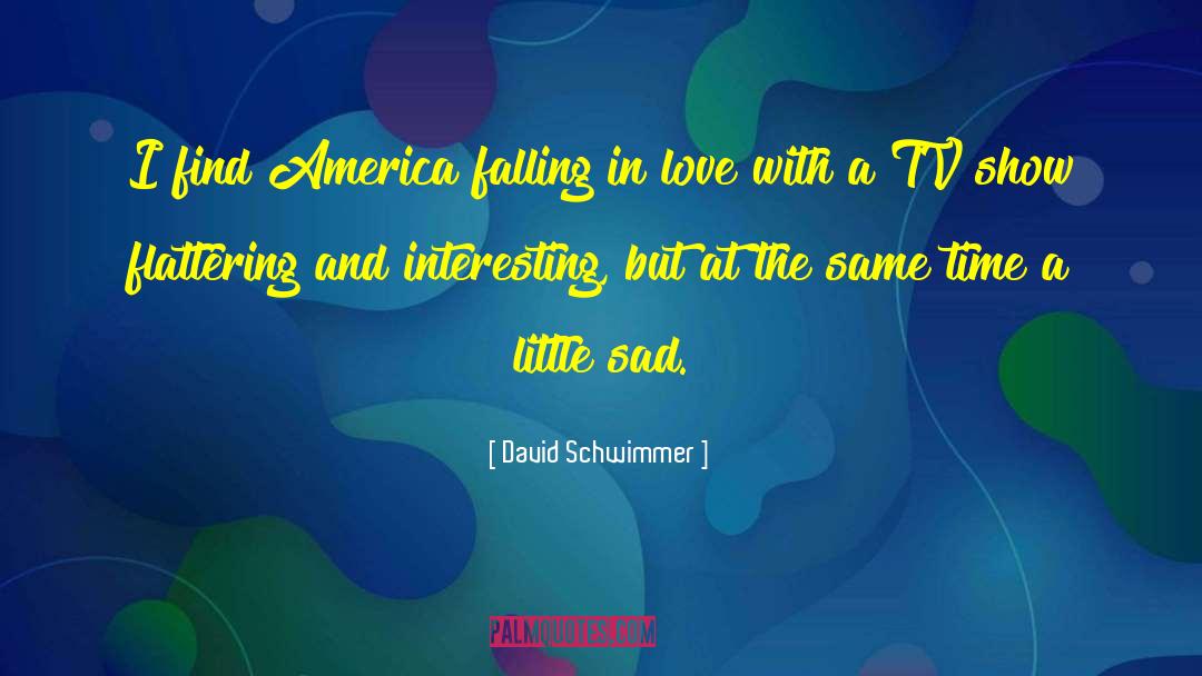 David Schwimmer Quotes: I find America falling in