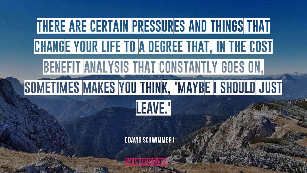 David Schwimmer Quotes: There are certain pressures and