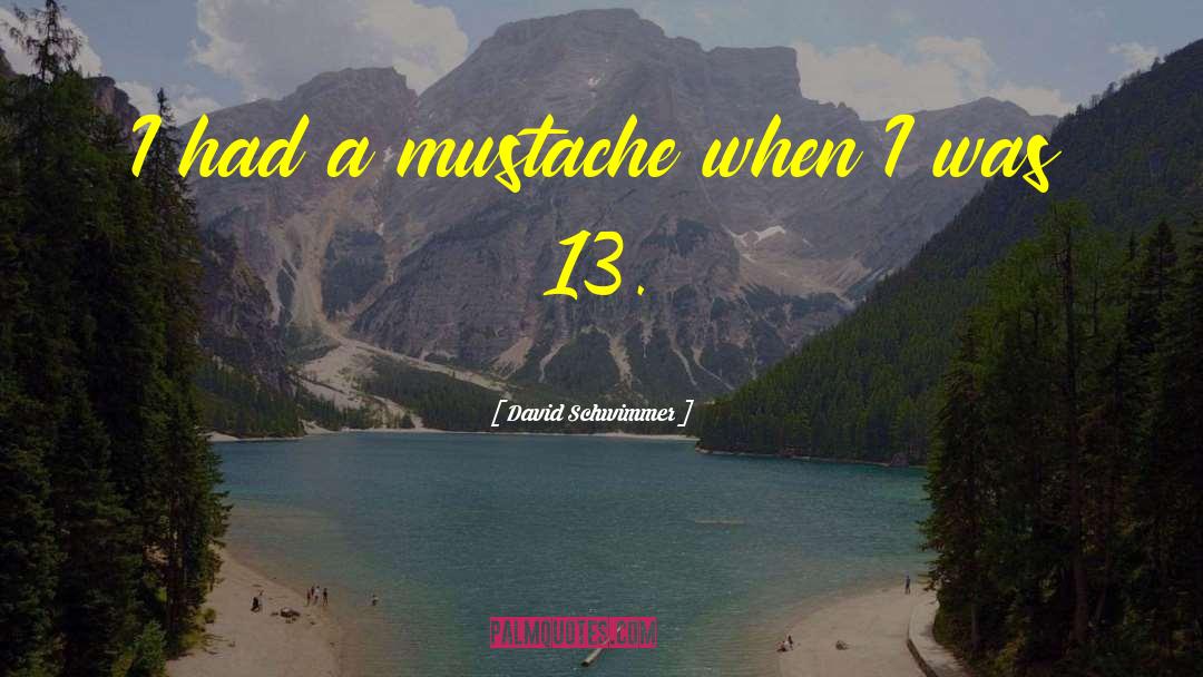 David Schwimmer Quotes: I had a mustache when