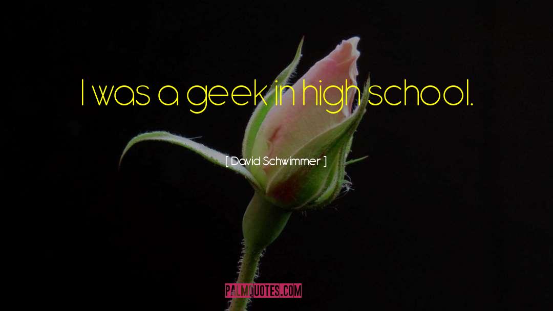 David Schwimmer Quotes: I was a geek in