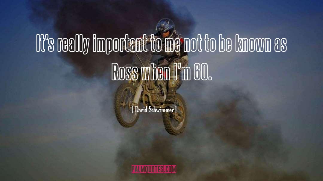 David Schwimmer Quotes: It's really important to me