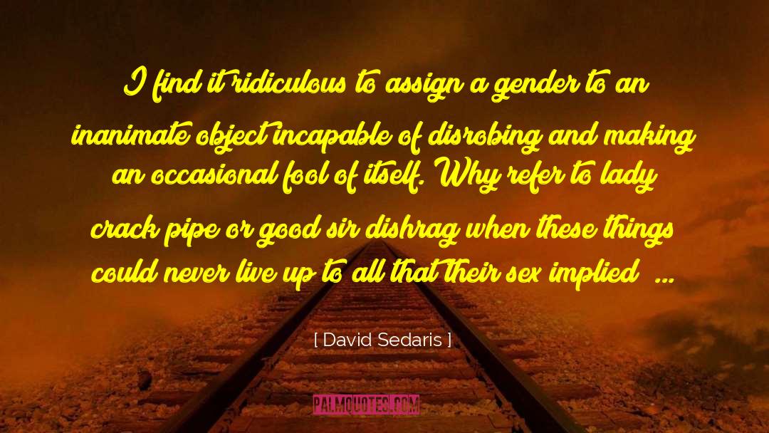David Sedaris Quotes: I find it ridiculous to