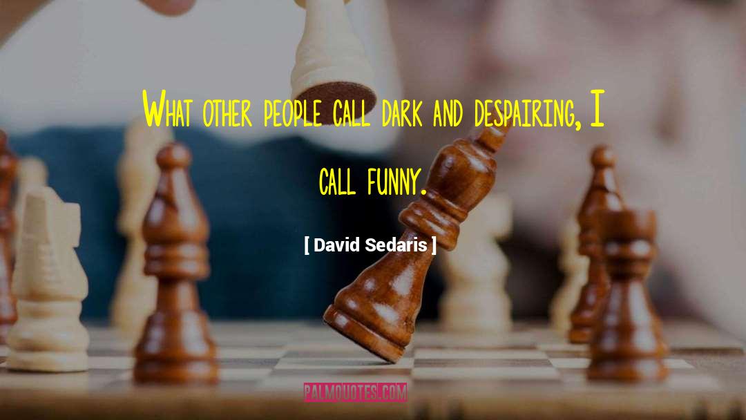 David Sedaris Quotes: What other people call dark