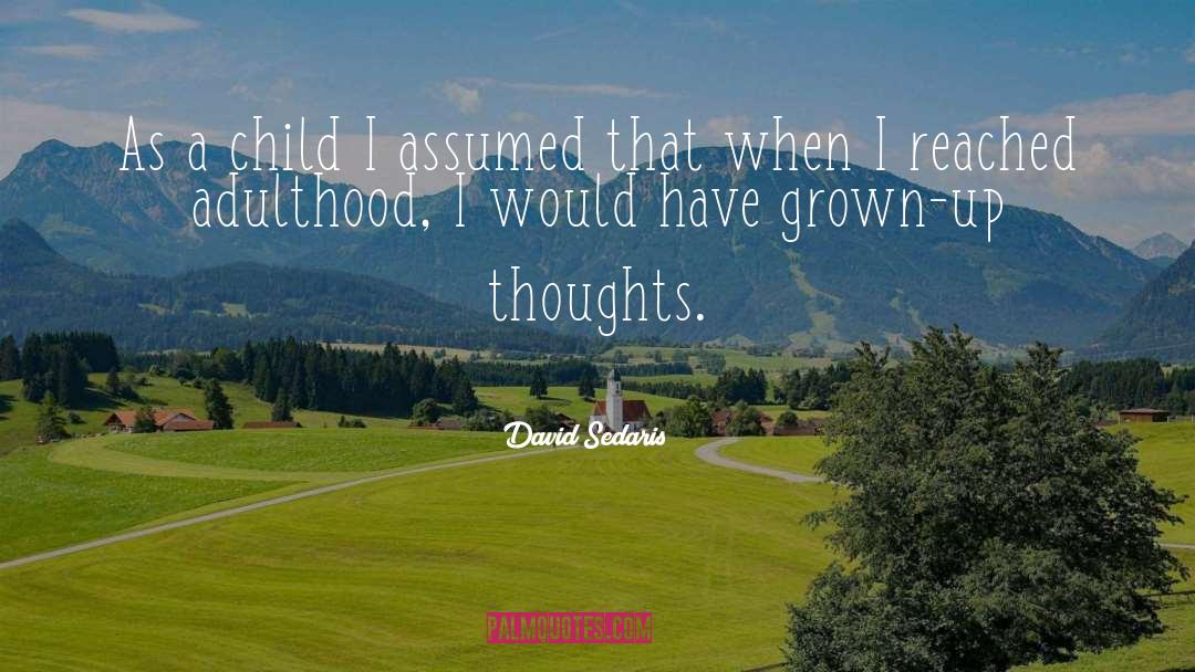 David Sedaris Quotes: As a child I assumed
