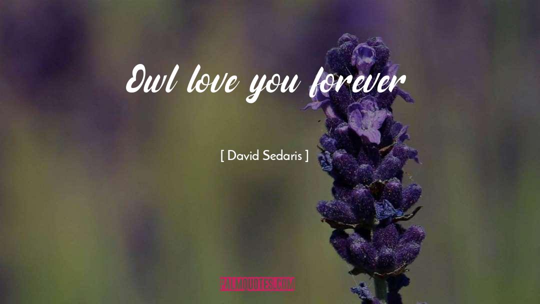 David Sedaris Quotes: Owl love you forever